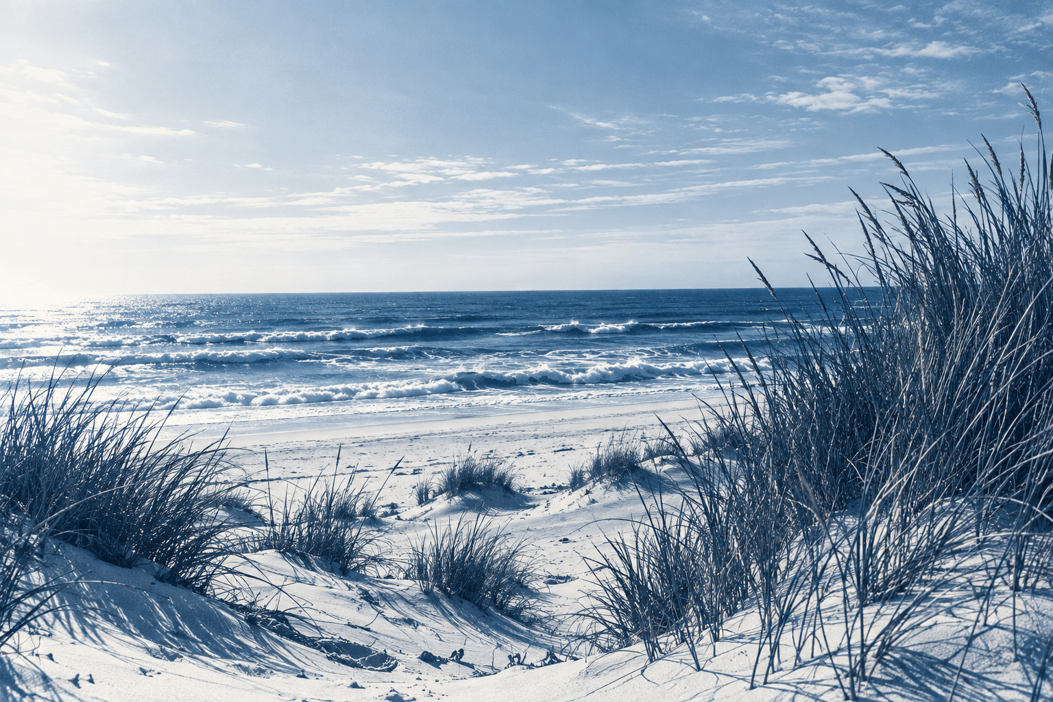 Dune atlantique
