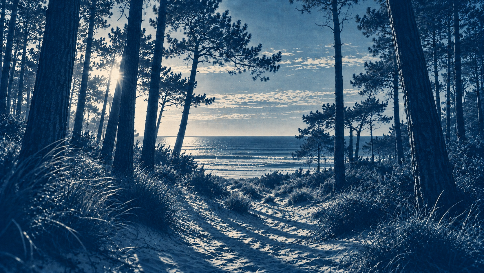 Pinède face à l’Atlantique