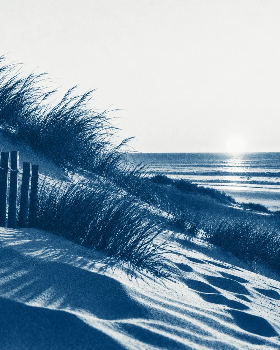 Dune