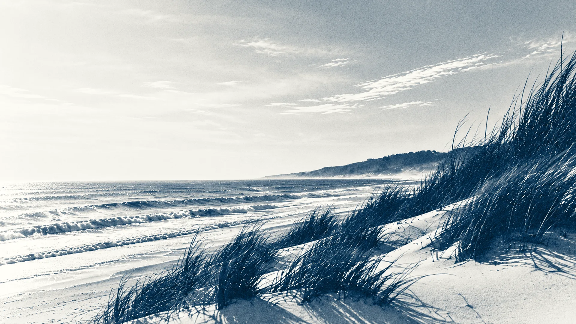 Dune Atlantique